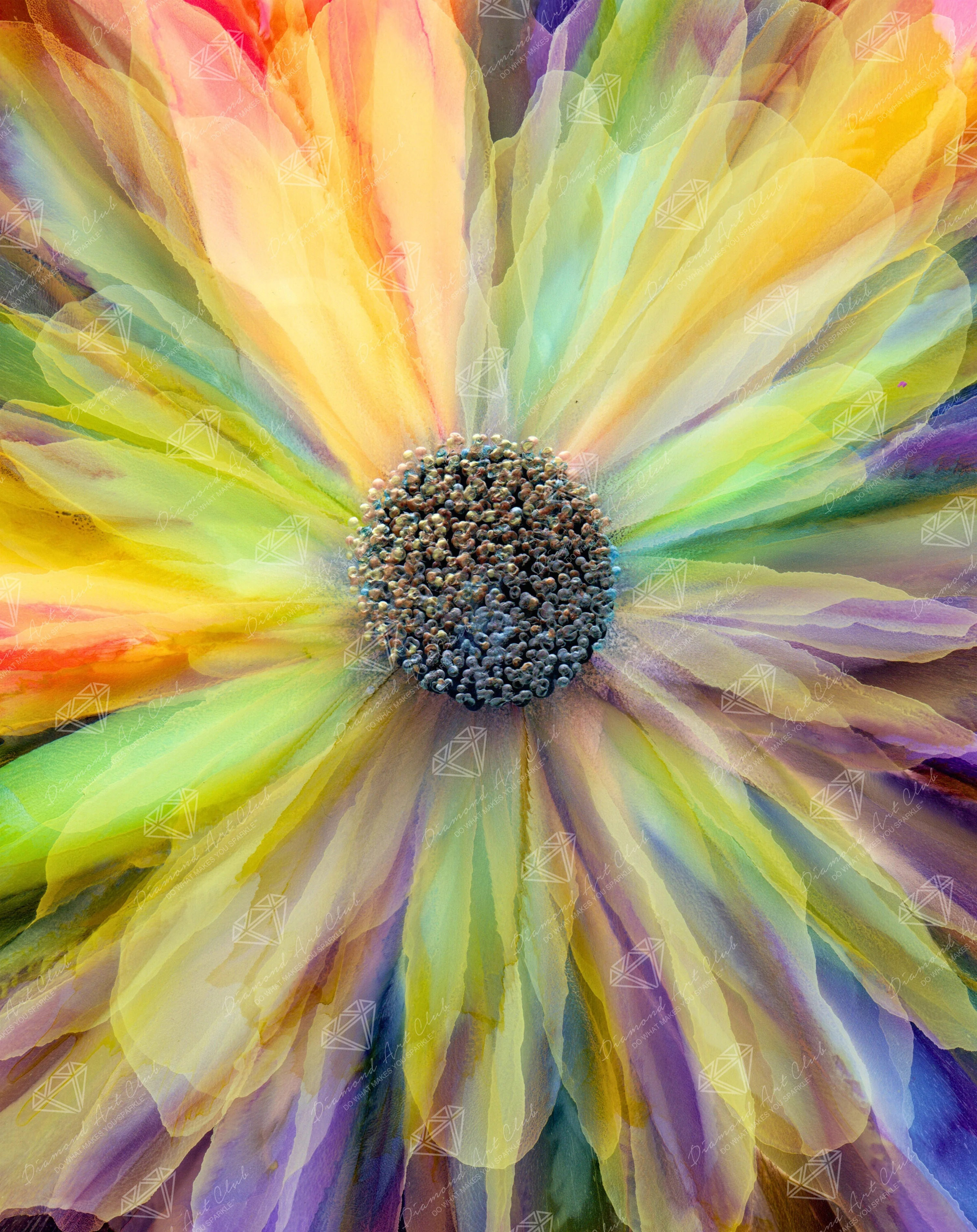 Beauty of Color