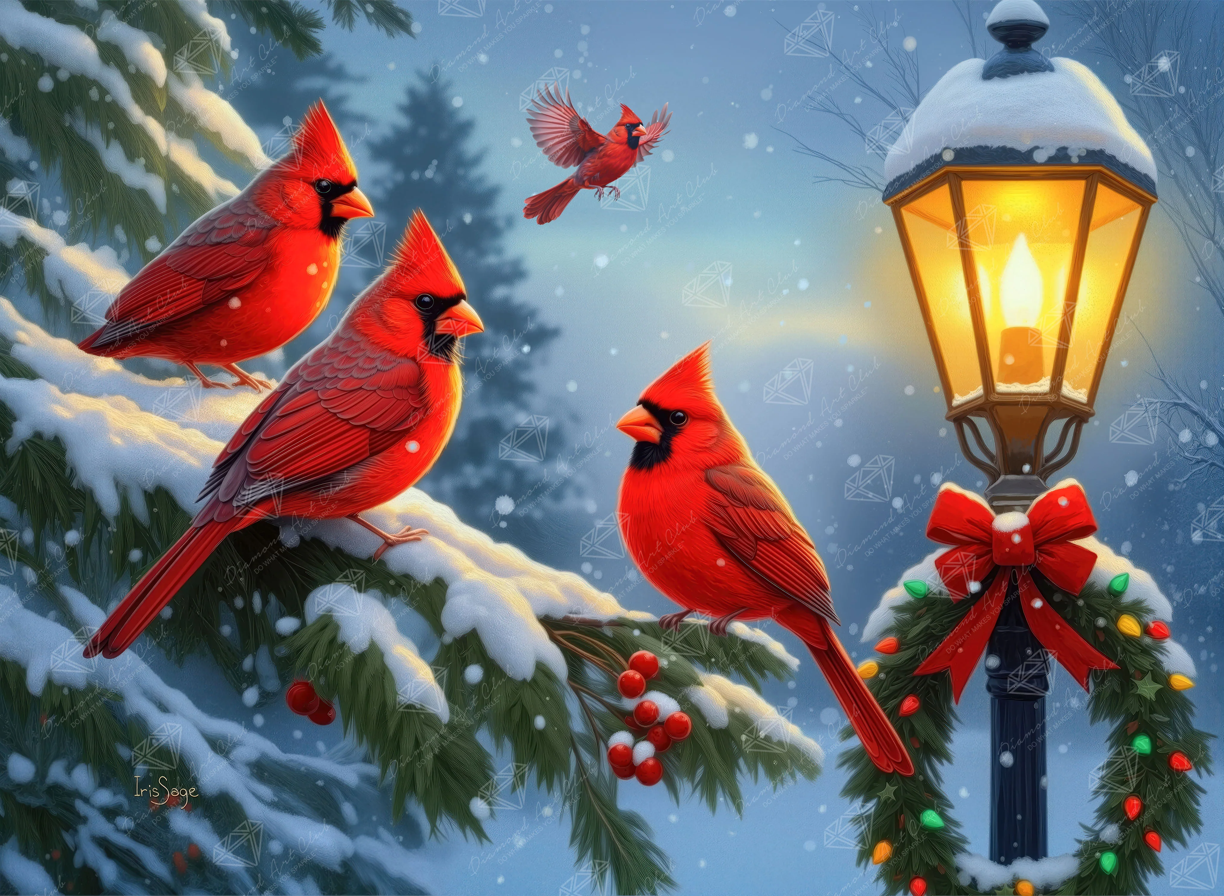 Cardinals' Quiet Noel