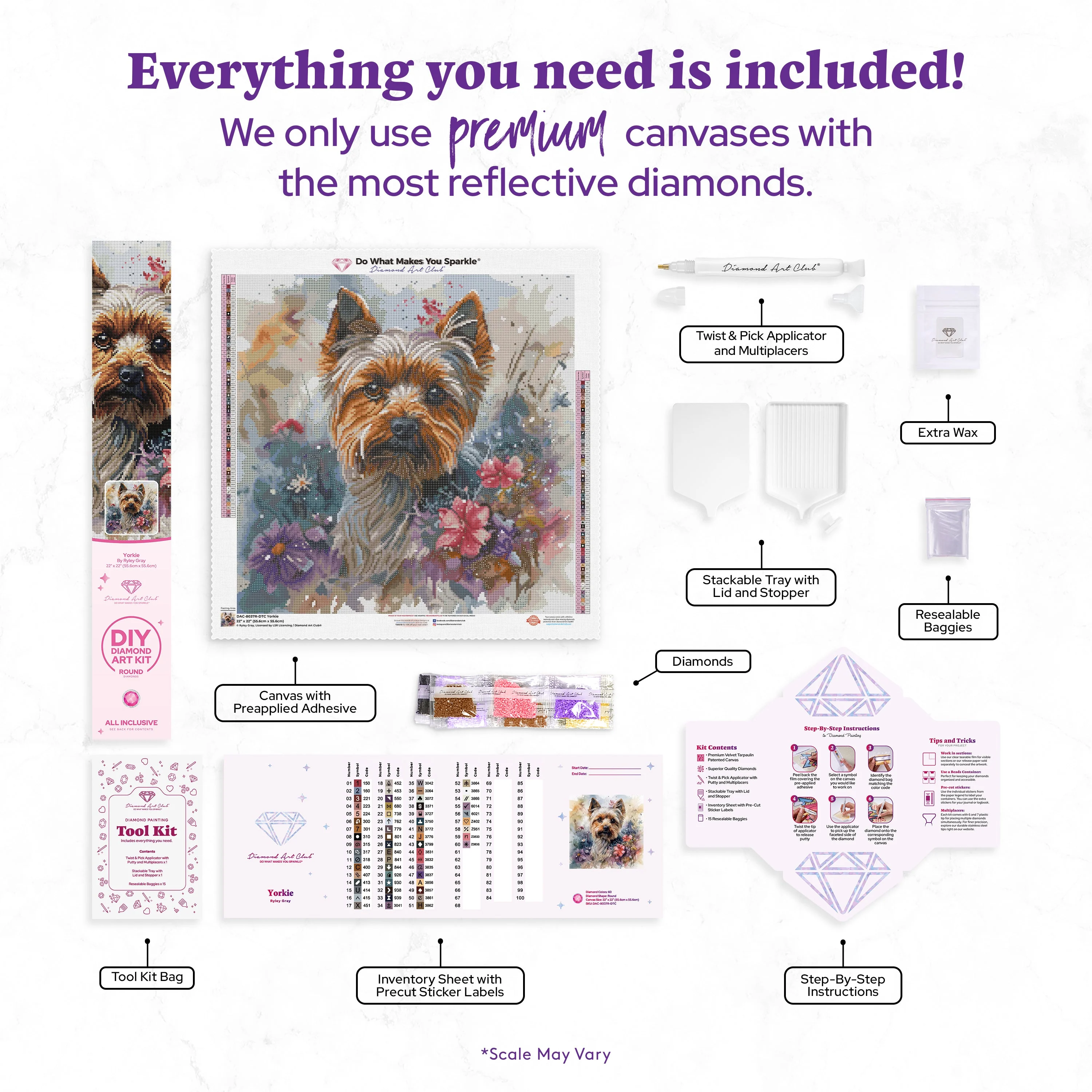 Yorkie - Image 3